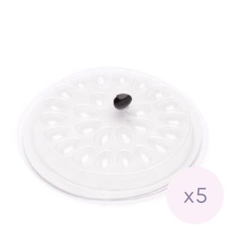 Porta colla usa e getta, 5 pz. 3 Starry ciglia